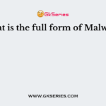 What is the full form of Malware?