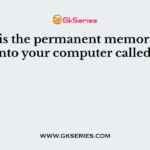 What is the permanent memory built into your computer called?