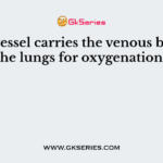What vessel carries the venous blood to the lungs for oxygenation?