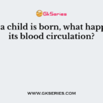When a child is born, what happens to its blood circulation?