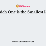 Which One is the Smallest Ion?