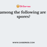 Which among the following are asexual spores?