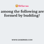 Which among the following are spores formed by budding?