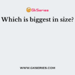 Which is biggest in size?