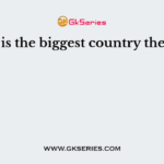Which is the biggest country the world?