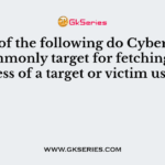 Which of the following do Cyber attackers commonly target for fetching IP address of a target or victim user?