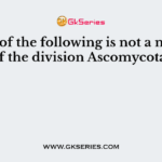 Which of the following is not a member of the division Ascomycota?