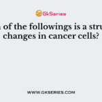Which of the followings is a structural changes in cancer cells?