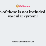 Which of these is not included in the vascular system?