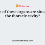 Which of these organs are situated in the thoracic cavity?