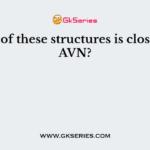 Which of these structures is close to the AVN?