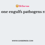 Which one engulfs pathogens rapidly?