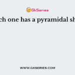 Which one has a pyramidal shape?