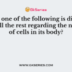 Which one of the following is different from all the rest regarding the number of cells in its body?