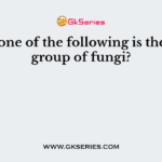 Which one of the following is the largest group of fungi?