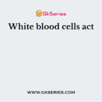 White blood cells act