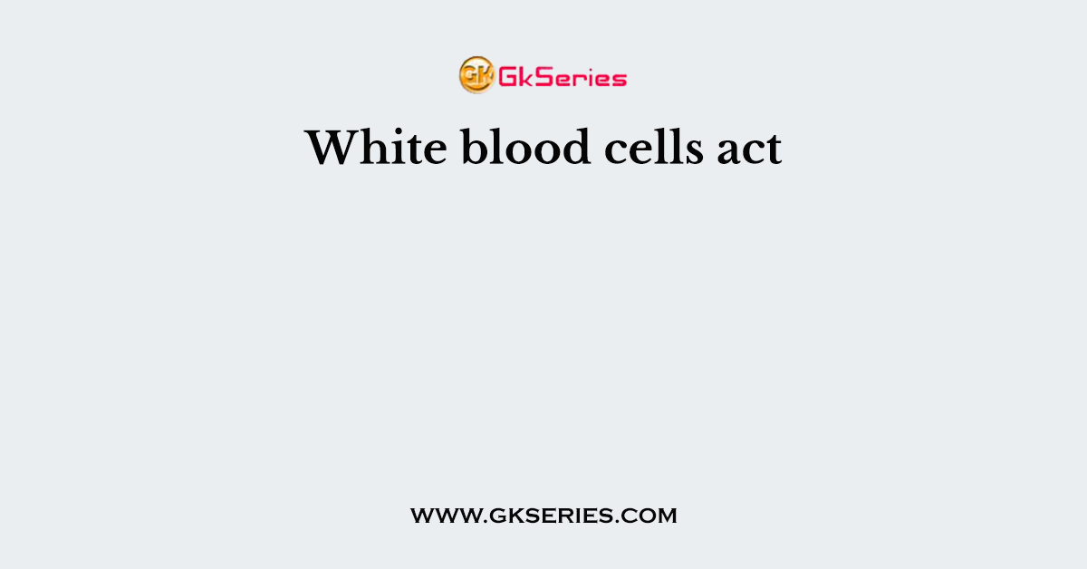 White blood cells act