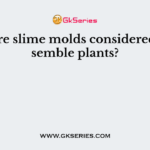 Why are slime molds considered to resemble plants?