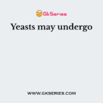 Yeasts may undergo