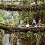 Meghalaya’s root bridges on tentative list of World’s Heritage Sites