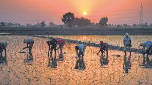 India's agriculture