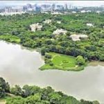 Mumbai and Hyderabad recognised as ‘2021 Tree City of the World’ by UN-FAO