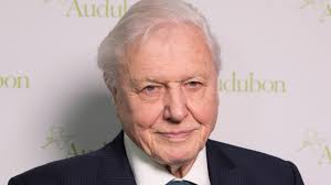Sir David Attenborough earns UN ‘Champion of the Earth Lifetime Achievement award’
