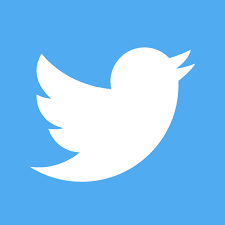 Twitter adopts limited-term shareholder rights