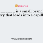 ___________ is a small branch of an artery that leads into a capillary