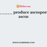 __________ produce ascospores in an ascus