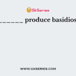 __________ produce basidiospores.