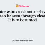 A hunter wants to shoot a fish whose image can be seen through clear water. It is to be aimed