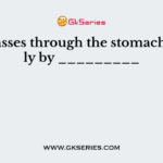Food passes through the stomach directly by _________