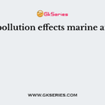 Noise pollution effects marine animal's