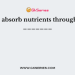 Plants absorb nutrients through their _______