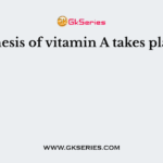 Synthesis of vitamin A takes place in
