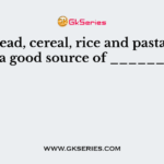 The bread, cereal, rice and pasta group is a good source of _______?