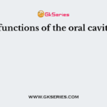 The functions of the oral cavity are