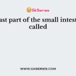 The last part of the small intestine is called