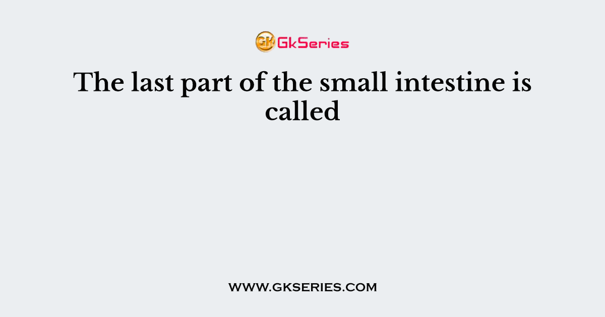 The last part of the small intestine is called