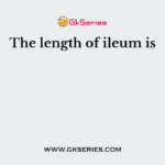 The length of ileum is