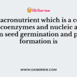 The macronutrient which is a component of coenzymes and nucleic acids for protein seed germination and protein formation is
