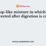 The soup-like mixture in which food is converted after digestion is called