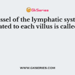 The vessel of the lymphatic system related to each villus is called
