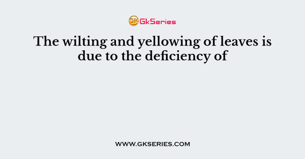 The wilting and yellowing of leaves is due to the deficiency of