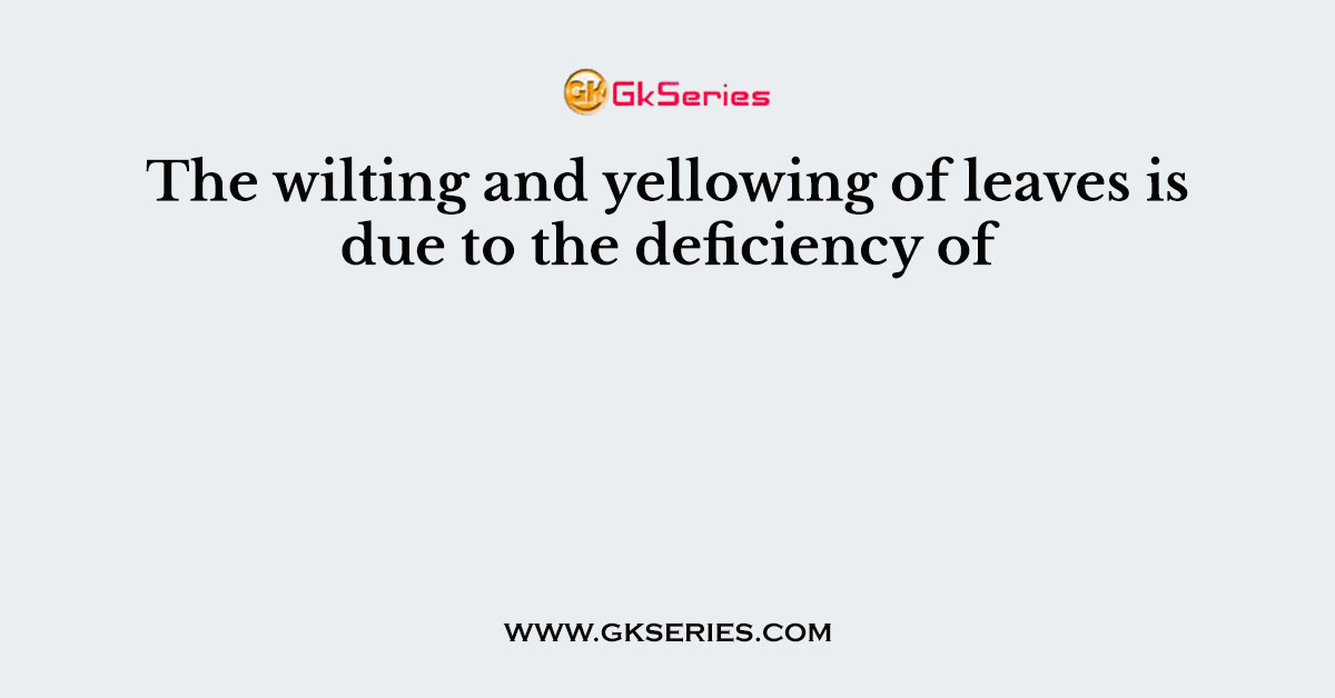 The wilting and yellowing of leaves is due to the deficiency of