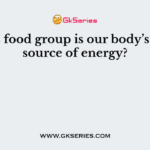 This food group is our body’s best source of energy?