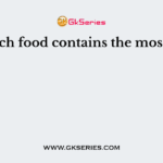 Which food contains the most fat?