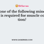 Which of the following cannot be a part of a vegan diet?