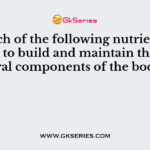 Which of the following nutrients is needed to build and maintain the structural components of the body?
